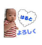 HARUTO2（個別スタンプ：3）