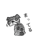 毎日黒パグの爺さん（個別スタンプ：15）