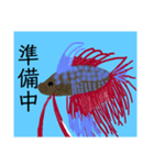 うみのいきものたち  3（個別スタンプ：10）