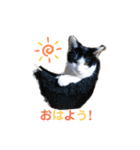 N's style #1（個別スタンプ：1）