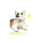 N's style #1（個別スタンプ：3）
