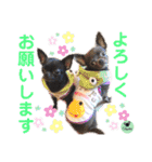 picorinaスタンプ★（個別スタンプ：4）