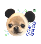 picorinaスタンプ★（個別スタンプ：8）