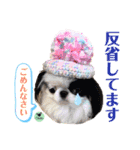 picorinaスタンプ★（個別スタンプ：10）