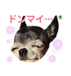 picorinaスタンプ★（個別スタンプ：18）