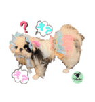 picorinaスタンプ★（個別スタンプ：24）