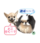 picorinaスタンプ★（個別スタンプ：28）