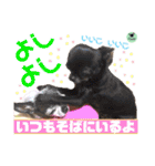 picorinaスタンプ★（個別スタンプ：38）