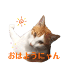 Milk Tea〜ミックくん♡/❶（個別スタンプ：1）