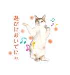 Milk Tea〜ミックくん♡/❶（個別スタンプ：5）