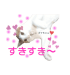 Milk Tea〜ミックくん♡/❶（個別スタンプ：9）