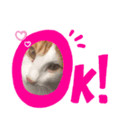 Milk Tea〜ミックくん♡/❶（個別スタンプ：10）