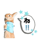 まろんとぐみのうさぎスタンプ！（個別スタンプ：5）