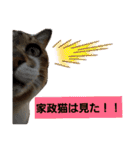うにという名のネコ（個別スタンプ：11）