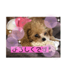 あさりはんスタンプ（個別スタンプ：8）