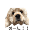 ぬーん！！！（個別スタンプ：1）