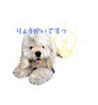 ぬーん！！！（個別スタンプ：4）