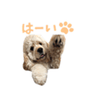 ぬーん！！！（個別スタンプ：6）