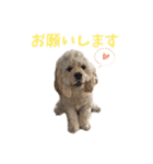 ぬーん！！！（個別スタンプ：8）