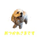 ぬーん！！！（個別スタンプ：10）