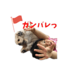 ぬーん！！！（個別スタンプ：11）