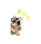 ぬーん！！！（個別スタンプ：13）