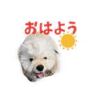 ぬーん！！！（個別スタンプ：14）