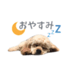 ぬーん！！！（個別スタンプ：15）