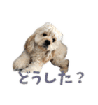 ぬーん！！！（個別スタンプ：16）