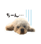 ぬーん！！！（個別スタンプ：17）