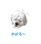 ぬーん！！！（個別スタンプ：19）
