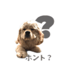 ぬーん！！！（個別スタンプ：20）