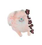 敬語と友達用レンくん（個別スタンプ：1）