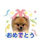 敬語と友達用レンくん（個別スタンプ：7）