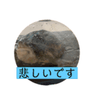 敬語と友達用レンくん（個別スタンプ：8）