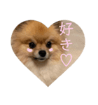 敬語と友達用レンくん（個別スタンプ：10）