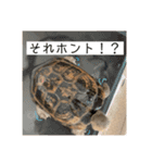 敬語と友達用レンくん（個別スタンプ：12）