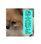 敬語と友達用レンくん（個別スタンプ：14）
