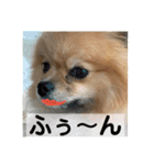 敬語と友達用レンくん（個別スタンプ：15）