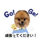敬語と友達用レンくん（個別スタンプ：16）