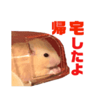 ハムコンビのスタンプ（個別スタンプ：4）