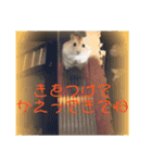 ハムコンビのスタンプ（個別スタンプ：7）
