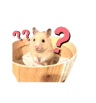 ハムコンビのスタンプ（個別スタンプ：8）