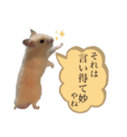 ハムコンビのスタンプ（個別スタンプ：16）