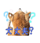 ひまちゃんすたんぷ。（個別スタンプ：18）