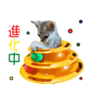 猫舎尻尾 004（個別スタンプ：7）