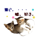 猫舎尻尾 006（個別スタンプ：10）