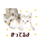 猫舎尻尾 013（個別スタンプ：1）