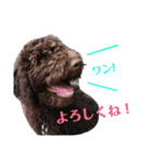 LANAのスタンプ（個別スタンプ：1）