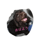 LANAのスタンプ（個別スタンプ：2）
